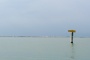 Venezia