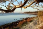 Saaremaa rannik
