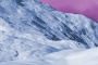 Purple Haze